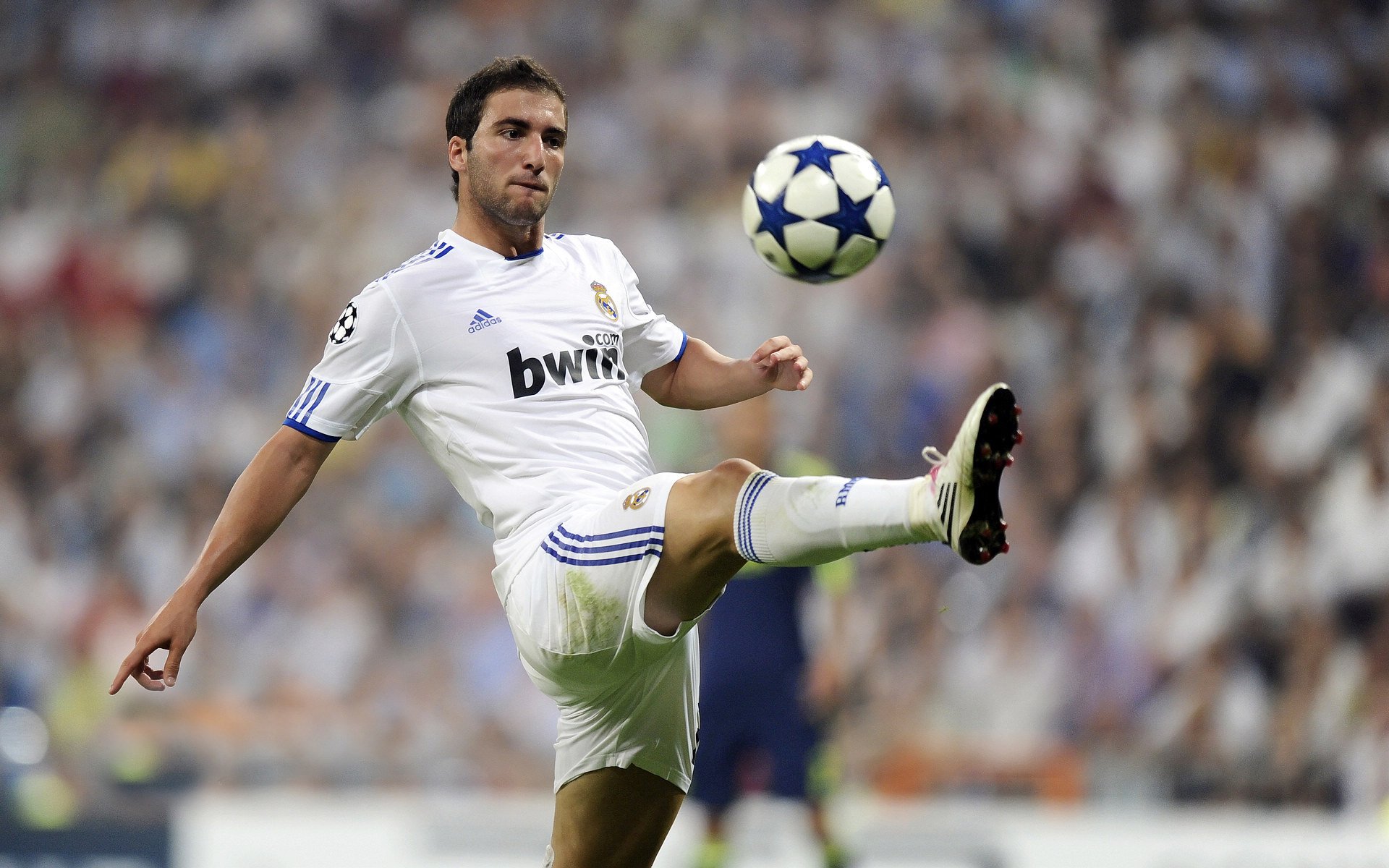 体育新闻中心明星风采展现，体育新闻现场报道