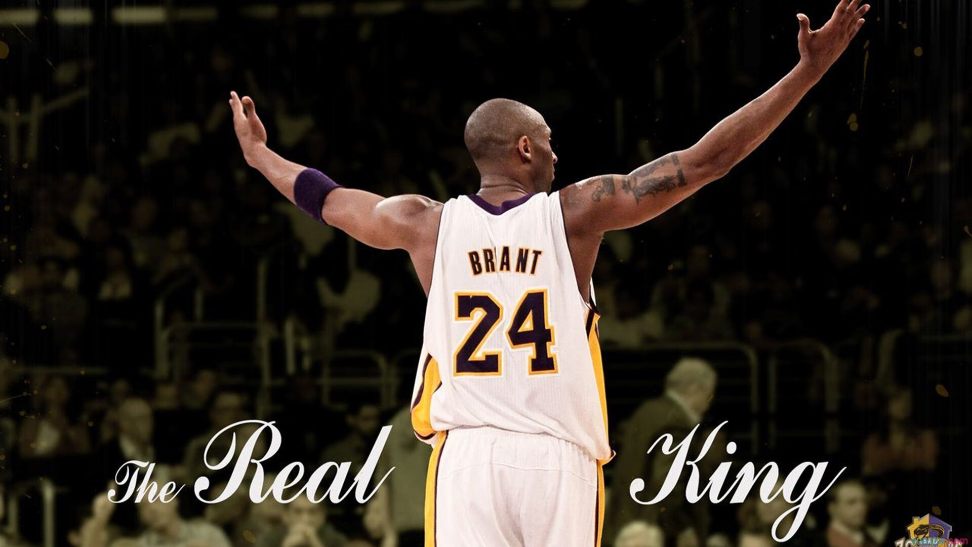 德雷蒙德：鹈鹕真正领袖并非锡安而是穆雷，鹈鹕队安德森