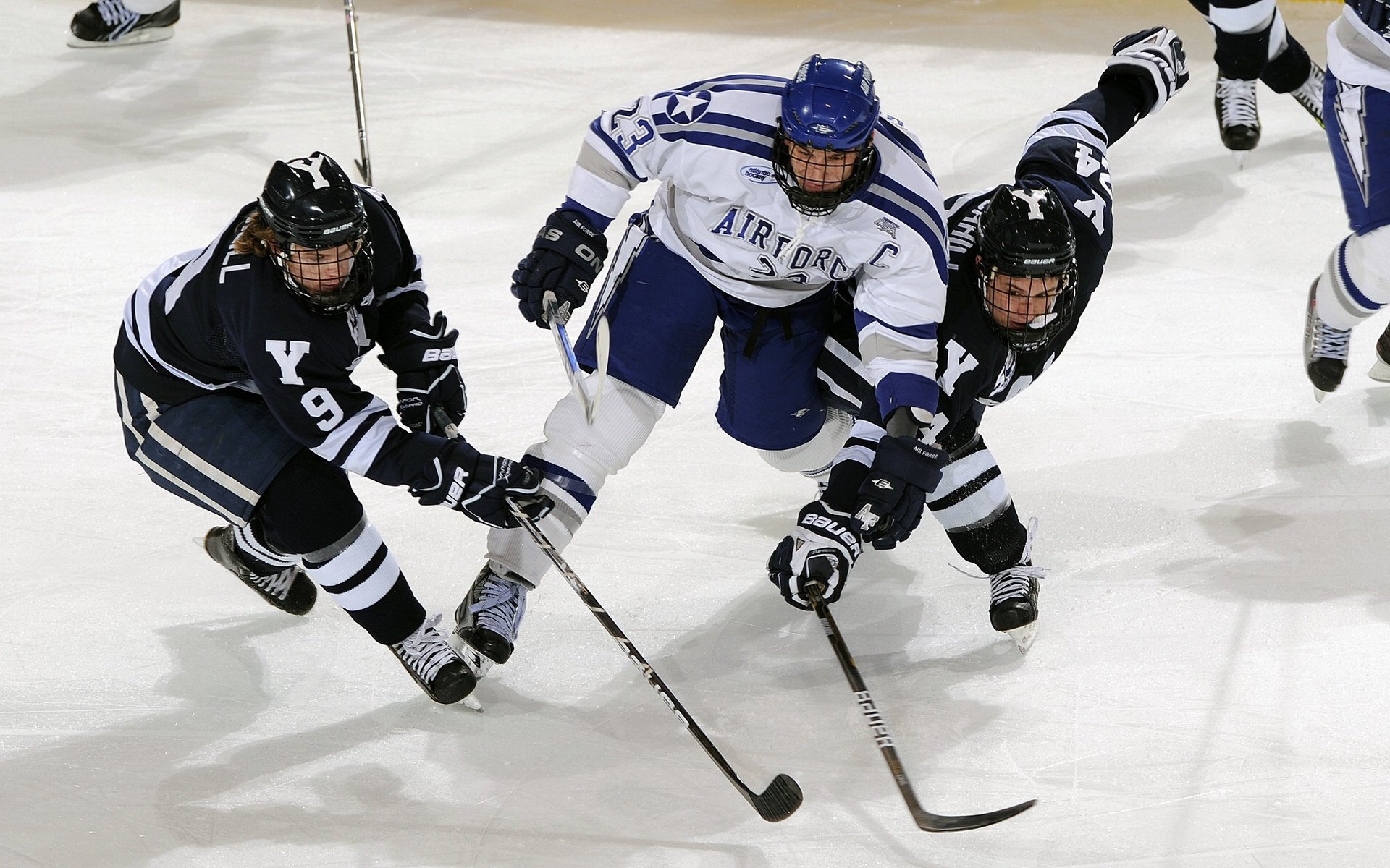 黄蜂封闭战术室升级为互动投影模式，黄蜂控卫